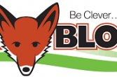 FOX Blocks ICF Hands-On Training
